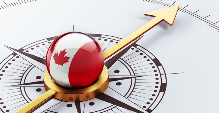 Exporting to OECD Markets