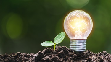 Lighbulb and green sprout coming out of the dirt.