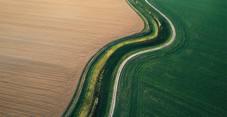Landscape showing use of erosion and sediment control